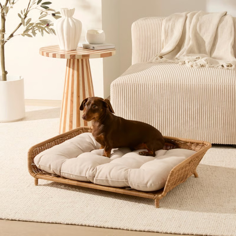 Product offering image